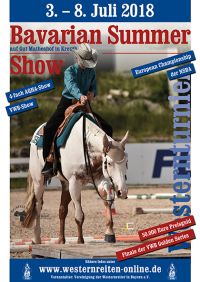 BSS 2018 web2